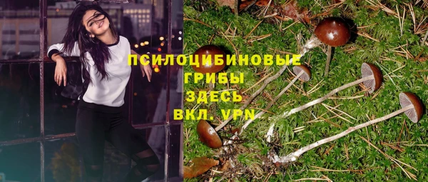 сатива Богородицк