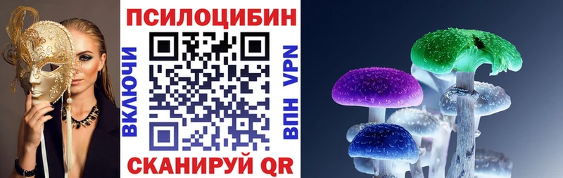 цены наркотик  блэк спрут ONION  Галлюциногенные грибы Cubensis  Богородск 